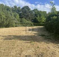 SONNIG MIT VIELFÄLTIGER NUTZUNG - Bruchsal