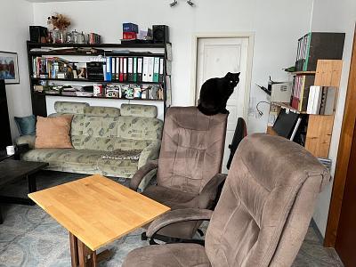 Foto - 2 Zimmer Erdgeschoßwohnung in Schemmerhofen