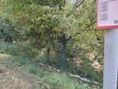 Foto - Grundstück in Merzig zum Kaufen