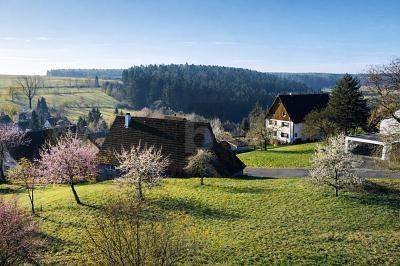 Foto - IHR ZUHAUSE ZWISCHEN APFELBÄUMEN