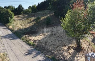 Foto - Grundstück in Waldshut-Tiengen