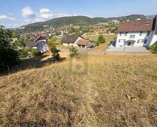 UNVERBAUBARE AUSSICHT IN BESTER HANGLAGE - Waldshut-Tiengen