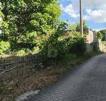 GRÜN, RUHIG UND IDYLLISCH - MIT ALTBESTAND - Schönwölkau