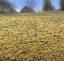 NATURNAH BAUEN IN BAIERSBRONN - 69.000,00&nbsp;EUR Kaufpreis, ca.&nbsp; 550,00&nbsp;m&sup2; in Baiersbronn (PLZ: 72270)