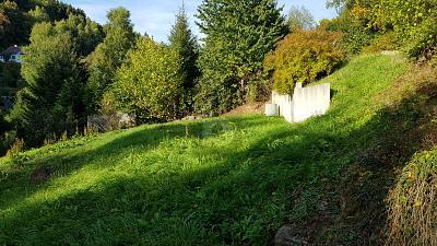 Foto - Grundstück in Suhl zum Kaufen