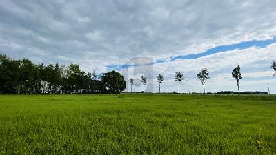 Foto - Grundstück in Wesselburenerkoog