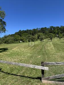 Foto - SONNIGER RÜCKZUGSORT MIT GROßEM FREIRAUM