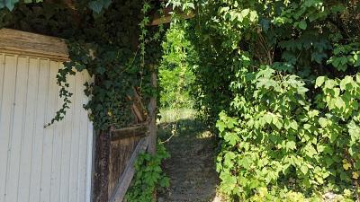 Foto - Grundstück in Öhningen zum Kaufen