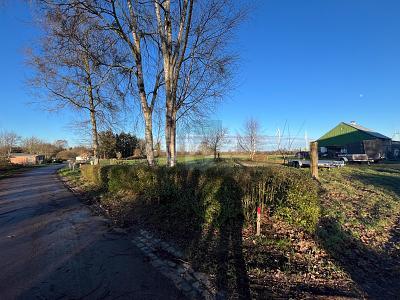 Foto - Grundstück in Steenfeld
