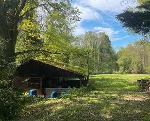 IHR GANZ PRIVATES STÜCK NATUR - 59.000,00&nbsp;EUR Kaufpreis, ca.&nbsp; 7.500,00&nbsp;m&sup2; in Kuppenheim (PLZ: 76456)