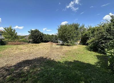 Foto - Grundstück in Friesenheim zum Kaufen