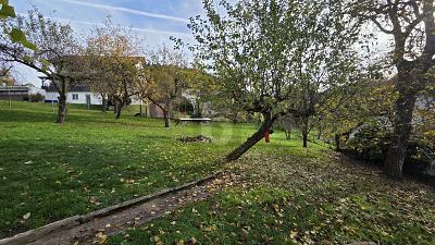 Foto - Grundstück zum Kaufen in Wald-Michelbach