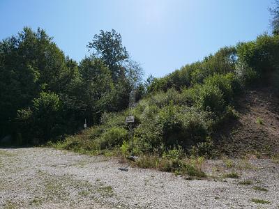 Foto - RUHE PUR! NATURPARADIES AM ORTSRAND
