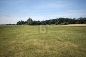 Foto - GRÜNLANDFLÄCHE - KAPITALANLAGE MIT PV-POTENTIAL