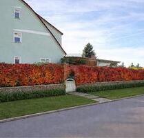 KEINE KÄUFERPROVISION FÄLLIG! - 249.000,00&nbsp;EUR Kaufpreis, ca.&nbsp; 146,00&nbsp;m&sup2;&nbsp;Wohnfl&auml;che in Templin (PLZ: 17268)