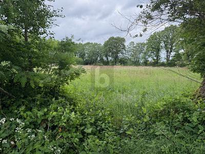 Foto - Grundstück in Lutzhorn