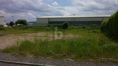 Foto - Gewerbeobjekt (Büro, Produktion, Verkauf) in Eimeldingen zum Kaufen