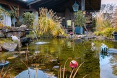 Toll angelegter Teich - 