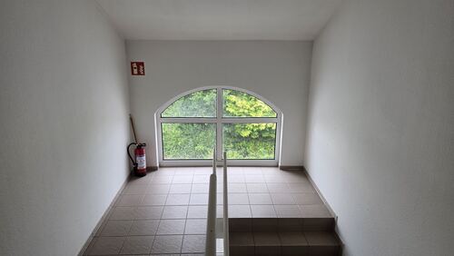 Gepflegtes Treppenhaus - 