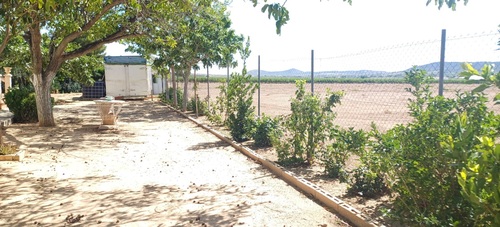 Foto - Einfamilienhaus in Yecla zum Kaufen