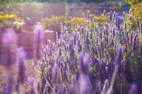 Foto - 8 Zimmer Einfamilienhaus zum Kaufen in Benissa