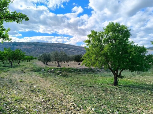 Foto - Grundstück in Caudete, Albacete