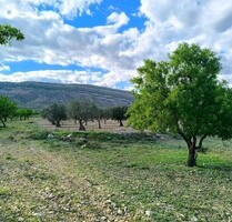Grundstück in Caudete, Albacete