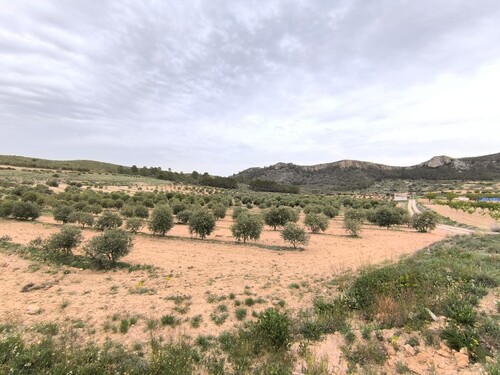 Foto - 2 Zimmer Einfamilienhaus in Jumilla