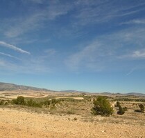 Grundstück in La Zarza, Murcia - 39.900,00&nbsp;EUR Kaufpreis, ca.&nbsp; 0,00&nbsp;m&sup2; in La Zarza (PLZ: )