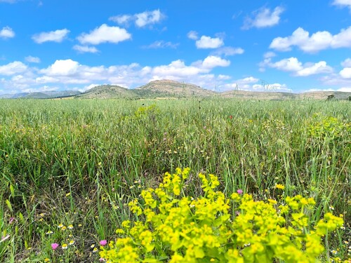 Foto - Grundstück in Yecla, Murcia - 55.000,00&nbsp;EUR Kaufpreis, ca.&nbsp; 0,00&nbsp;m&sup2;