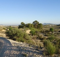 Grundstück in Abanilla, Murcia - 22.900,00&nbsp;EUR Kaufpreis, ca.&nbsp; 0,00&nbsp;m&sup2; in Abanilla (PLZ: )