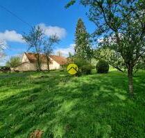 Haus in Nerondes, Cher - 93.500,00&nbsp;EUR Kaufpreis, ca.&nbsp; 2.000,00&nbsp;m&sup2; in Nerondes (PLZ: )