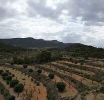 Grundstück in La Zarza, Murcia - 45.000,00&nbsp;EUR Kaufpreis, ca.&nbsp; 0,00&nbsp;m&sup2; in La Zarza (PLZ: )