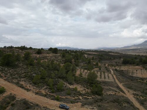 Foto - Grundstück in La Zarza