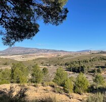 Grundstück in La Zarza, Murcia - 34.900,00&nbsp;EUR Kaufpreis, ca.&nbsp; 0,00&nbsp;m&sup2; in La Zarza (PLZ: )