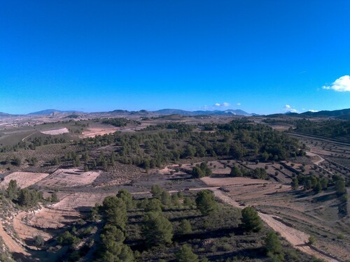 Foto - Grundstück in La Zarza