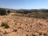 Foto - Grundstück in La Zarza, Murcia - 59.900,00&nbsp;EUR Kaufpreis, ca.&nbsp; 0,00&nbsp;m&sup2;