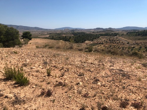 Foto - Grundstück in La Zarza, Murcia - 59.900,00&nbsp;EUR Kaufpreis, ca.&nbsp; 0,00&nbsp;m&sup2;