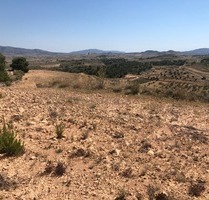 Grundstück in La Zarza, Murcia - 59.900,00&nbsp;EUR Kaufpreis, ca.&nbsp; 0,00&nbsp;m&sup2; in La Zarza (PLZ: )