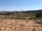 Foto - Grundstück zum Kaufen in La Zarza