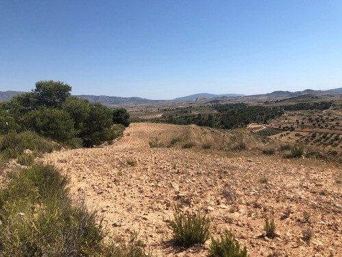Foto - Grundstück in La Zarza zum Kaufen