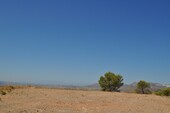 Foto - Grundstück in Macisvenda