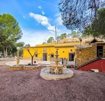 Höhlenhaus in Pinoso, Alicante - 159.950,00&nbsp;EUR Kaufpreis, ca.&nbsp; 1.000,00&nbsp;m&sup2; in Pinoso (PLZ: )