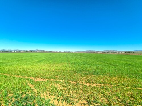 Foto - Grundstück in Yecla, Murcia - 67.500,00&nbsp;EUR Kaufpreis, ca.&nbsp; 0,00&nbsp;m&sup2;