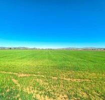 Grundstück in Yecla, Murcia - 67.500,00&nbsp;EUR Kaufpreis, ca.&nbsp; 0,00&nbsp;m&sup2; in Yecla (PLZ: )