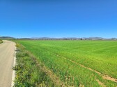 Foto - Grundstück in Yecla