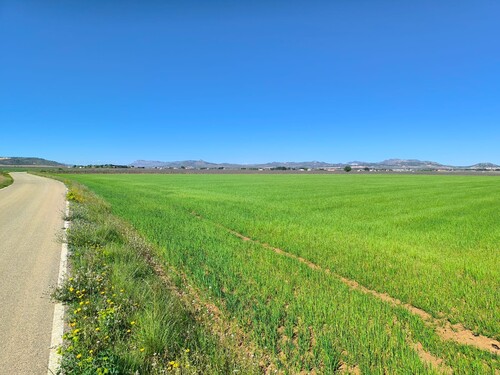 Foto - Grundstück in Yecla