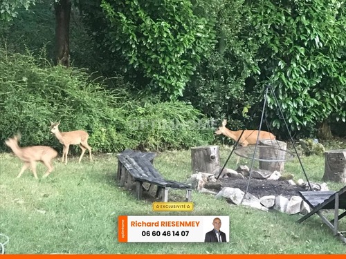 Foto - Haus in Saint-Cheron, Essonne - 59.000,00&nbsp;EUR Kaufpreis, ca.&nbsp; 200,00&nbsp;m&sup2;