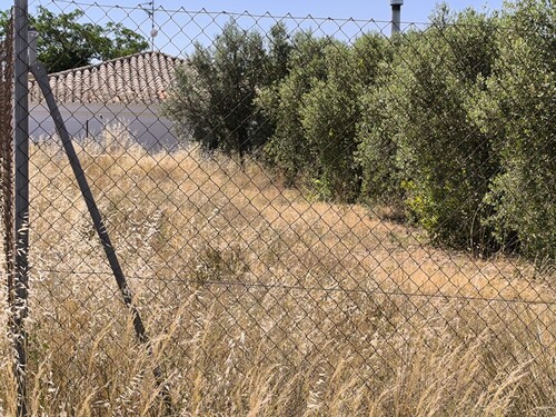 Foto - Grundstück in Caudete, Albacete
