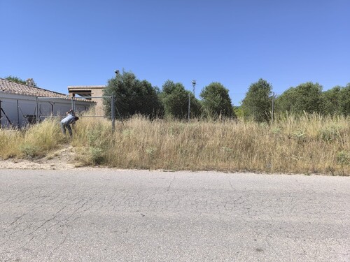 Foto - Grundstück in Caudete